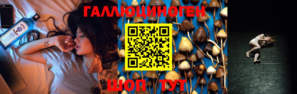 Галлюциногенные грибы прущие грибы  Вход с VPN  Галлюциногенные грибы Magic Shrooms  Губаха 